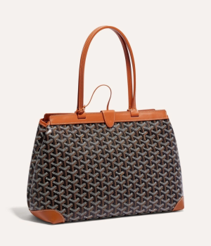 고야드 벨샤스 비유드 백 PM 탄