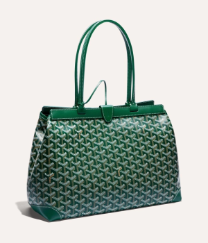 고야드 벨샤스 비유드 백 PM 그린