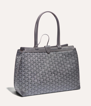 고야드 벨샤스 비유드 백 PM 그레이