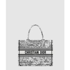 디올 북토트백 미디움 플랜 드 파리 M1296