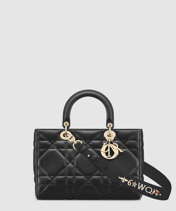 디올 레이디 디자이어 ABC 미디엄백 M1151