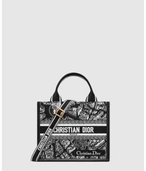 디올 레이디 스몰 북토트백 플랜 드 파리 M1325
