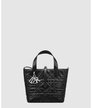 디올 뚜주흐 버티컬 토트백 스몰 M2835