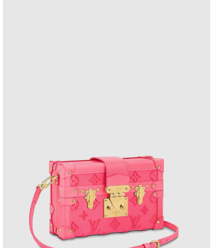 루이비통 터프티드 쁘띠뜨 말 M20745