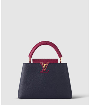 루이비통 카퓌신 BB N83103