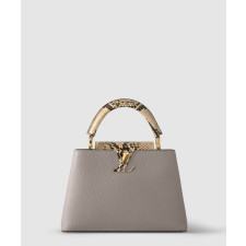 루이비통 카퓌신 BB N82068