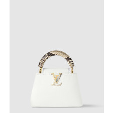 루이비통 토뤼옹 파이톤 트리밍 카퓌신 미니 N98477