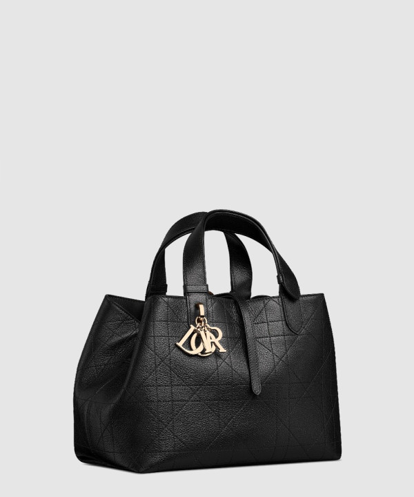 디올 뚜주흐 백 미디엄 M2821