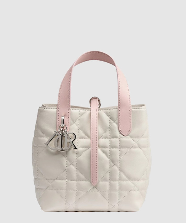 디올 뚜주흐 버티컬 토트백 스몰 M2835